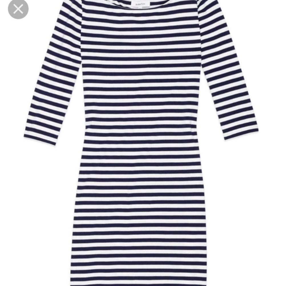 Aritzia Babaton Madden dress